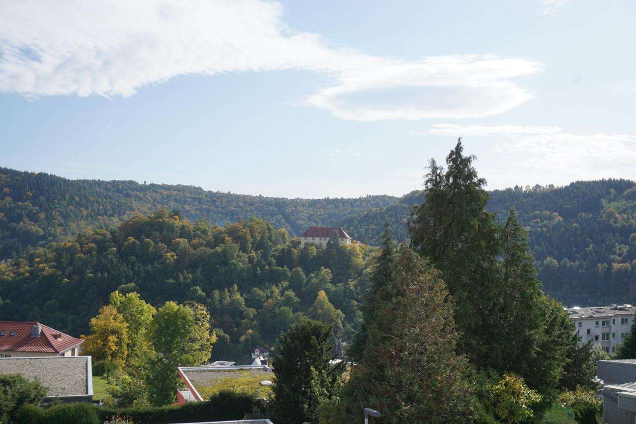 Ferienwohnung Schauinsland Ноєнбюрг Екстер'єр фото